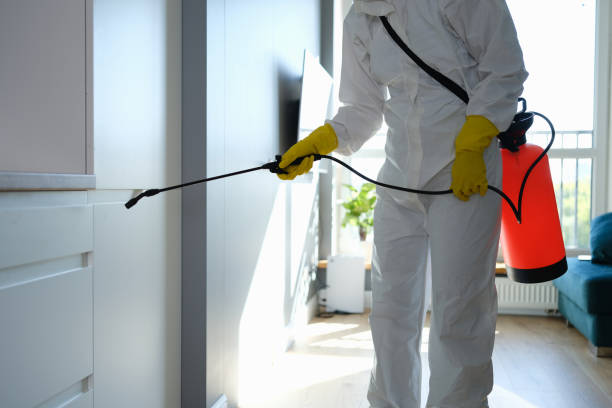 Best Mold Removal Near Me  in Crane, TX