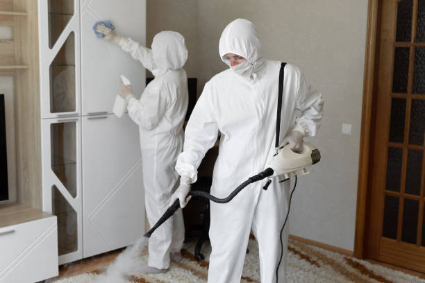 Best Professional Mold Removal  in Crane, TX