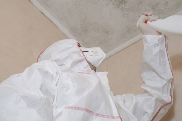 Best Certified Mold Removal  in Crane, TX