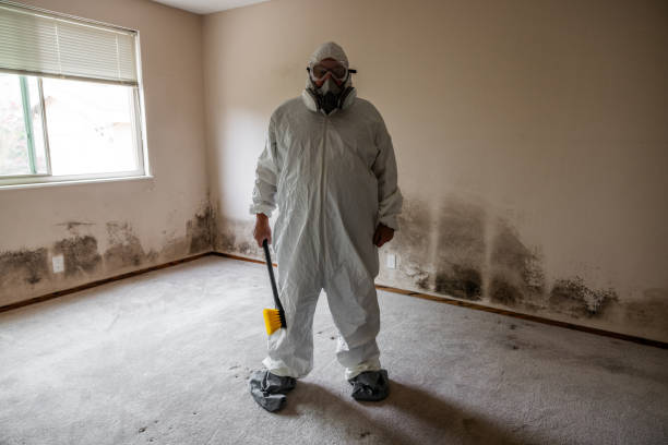 Best Office Mold Removal Services  in Crane, TX